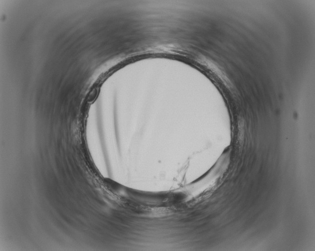 X0000087631308200705311319