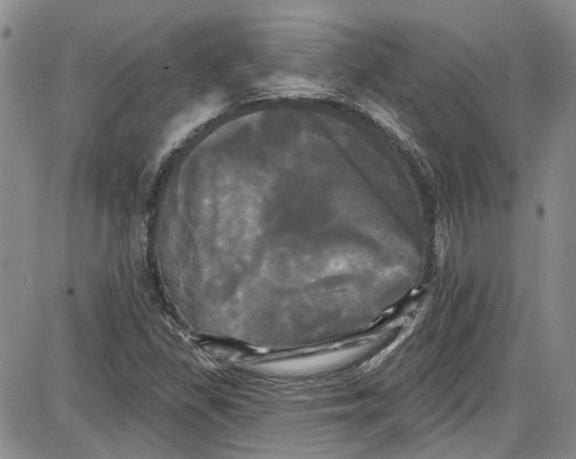 X0000087631309200705311319