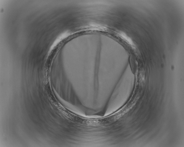 X0000087631310200705311319