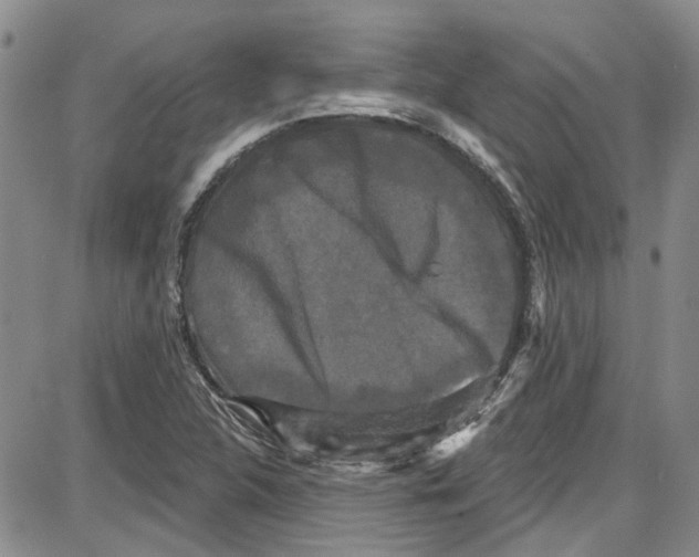 X0000087631312200705311319