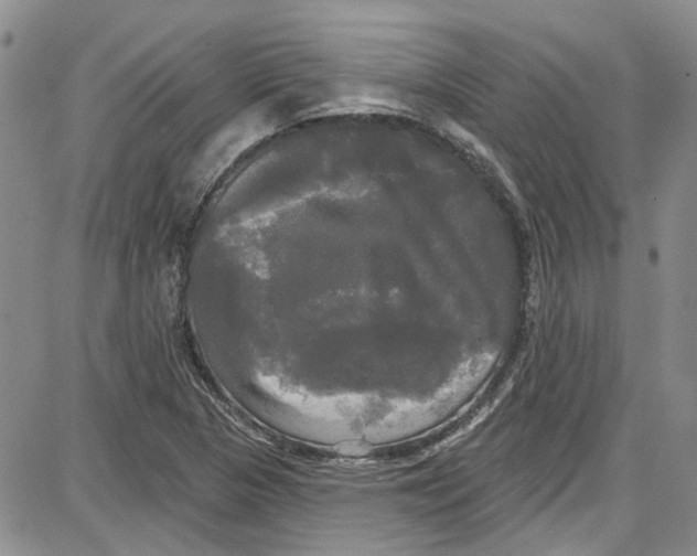 X0000087631313200705311319