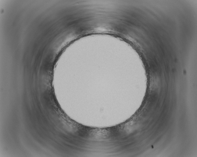 X0000087631314200705311319