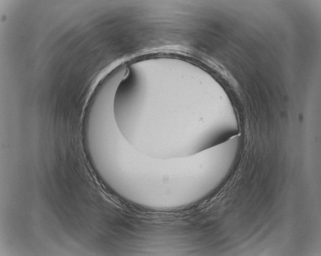 X0000087631316200705311319