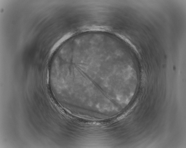 X0000087631317200705311319