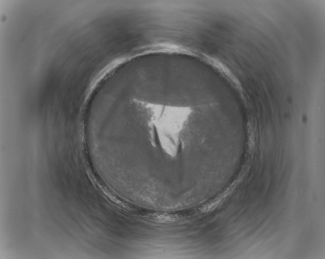 X0000087631318200705311319