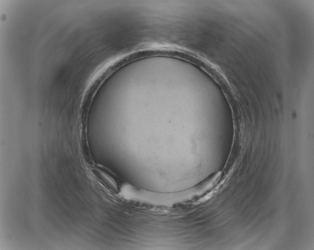 X0000087631319200705311319