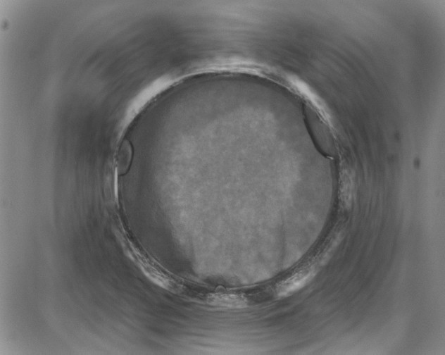 X0000087631320200705311319