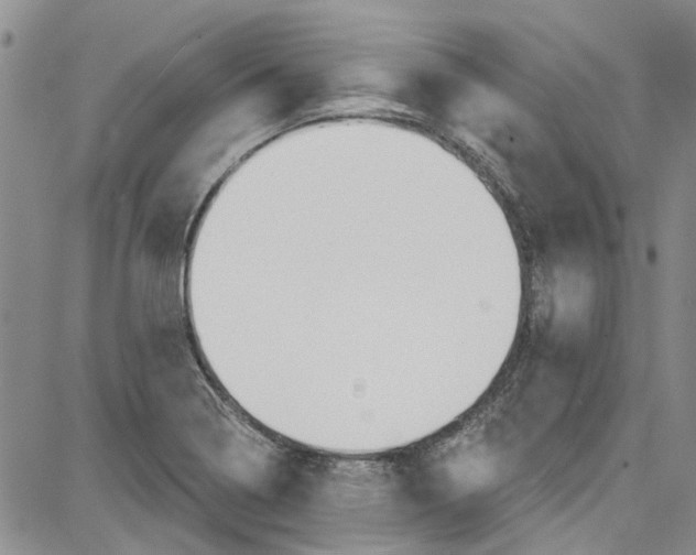 X0000087631322200705311319