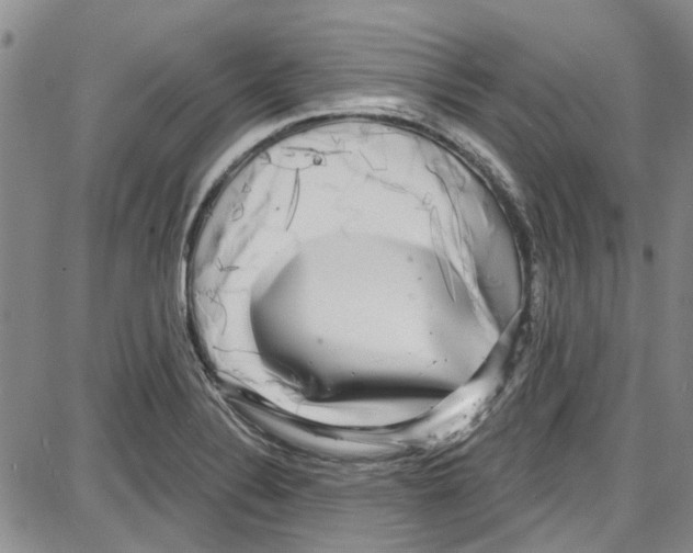 X0000087631324200705311319