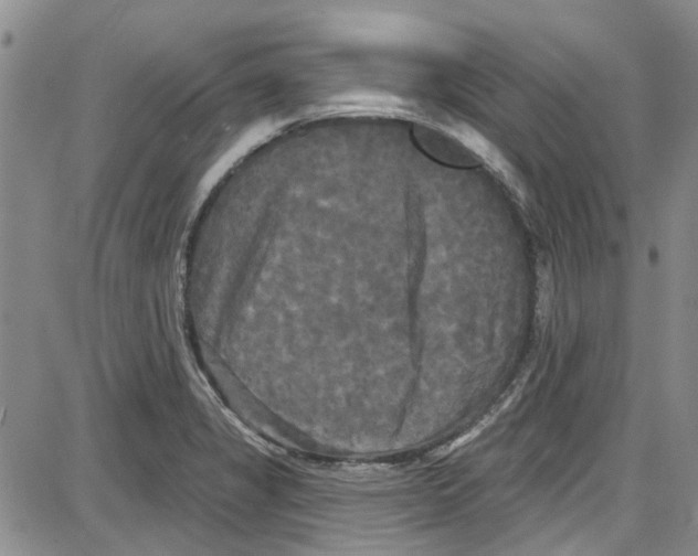 X0000087631325200705311319