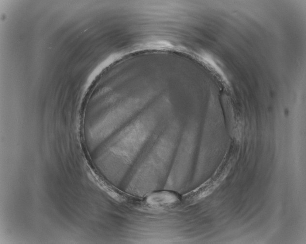 X0000087631326200705311319