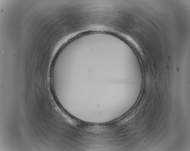 X0000087631327200705311319