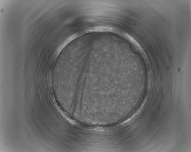 X0000087631329200705311319