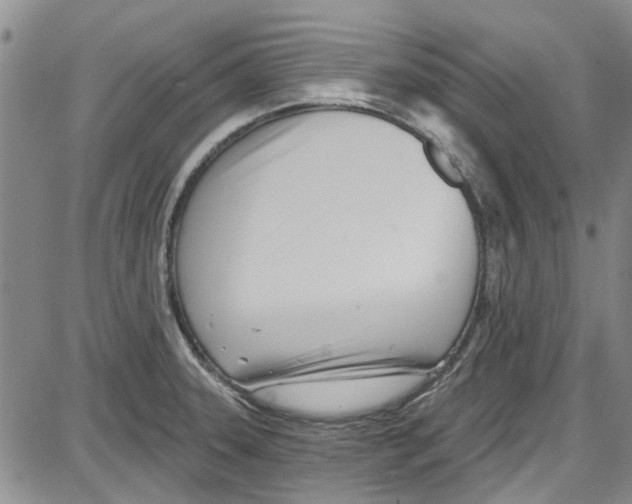 X0000087631331200705311319