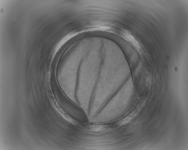 X0000087631332200705311319