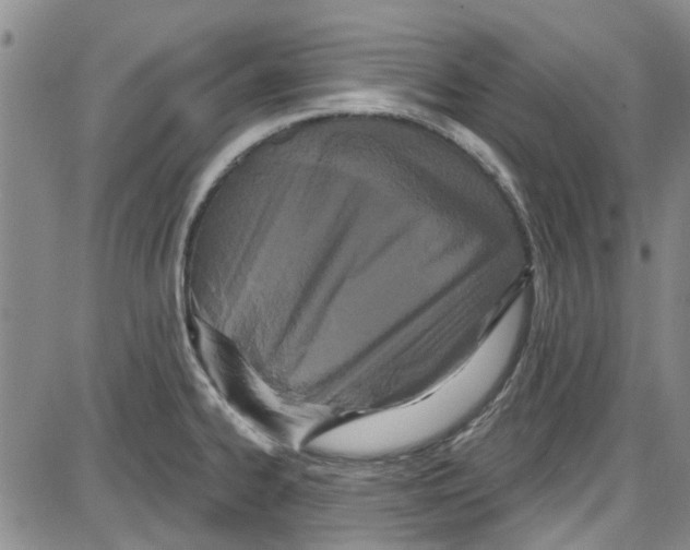 X0000087631334200705311319