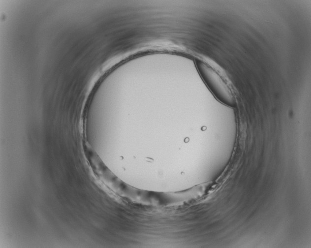 X0000087631335200705311319