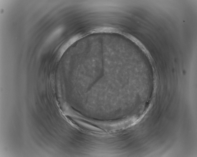 X0000087631337200705311319