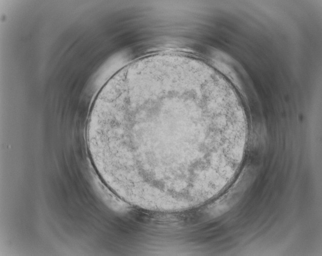 X0000087631338200705311319