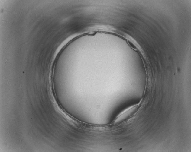 X0000087631339200705311319