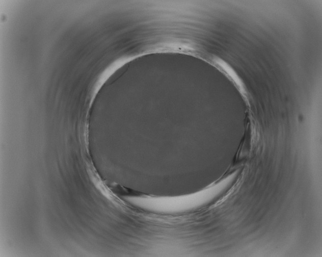 X0000087631340200705311319