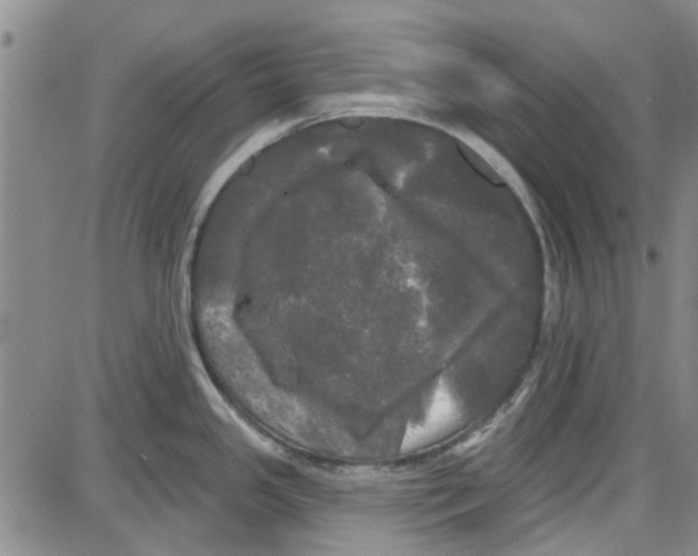 X0000087631341200705311319