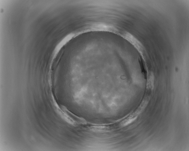 X0000087631342200705311319