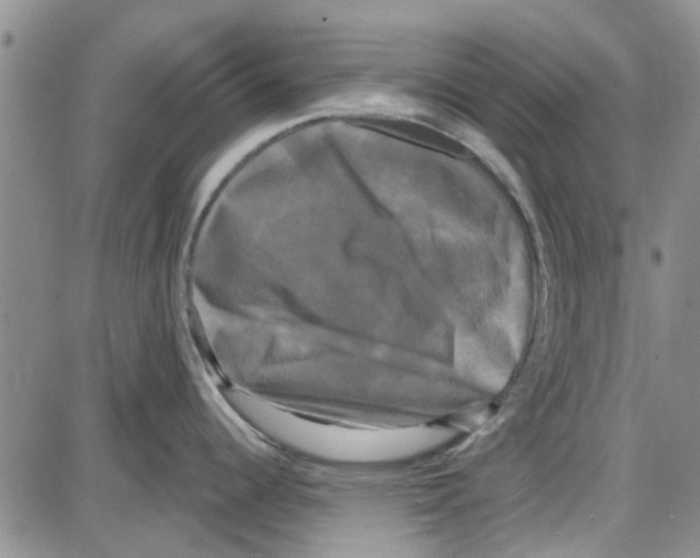 X0000087631344200705311319