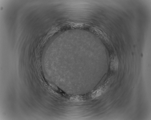 X0000087631345200705311318