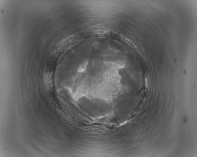 X0000087631347200705311318