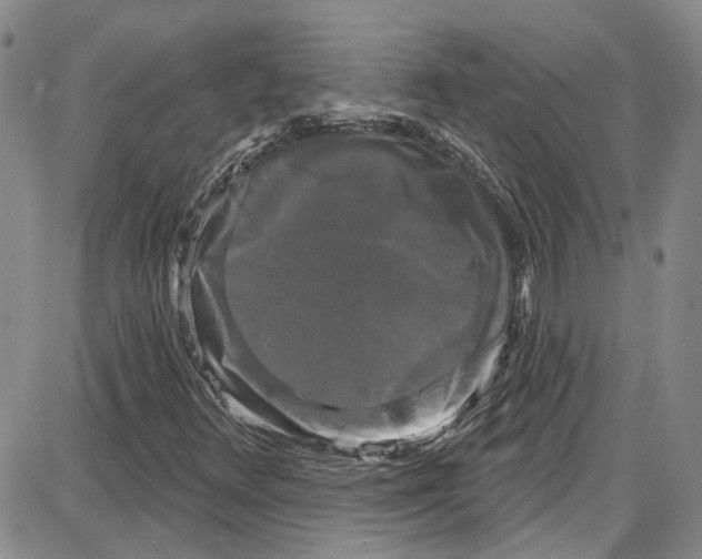 X0000087631348200705311318