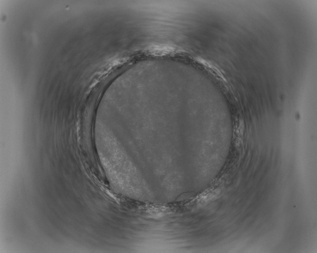 X0000087631349200705311318