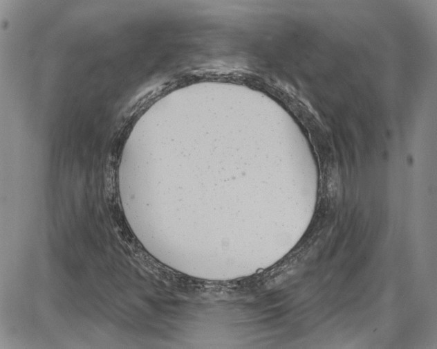 X0000087631350200705311318