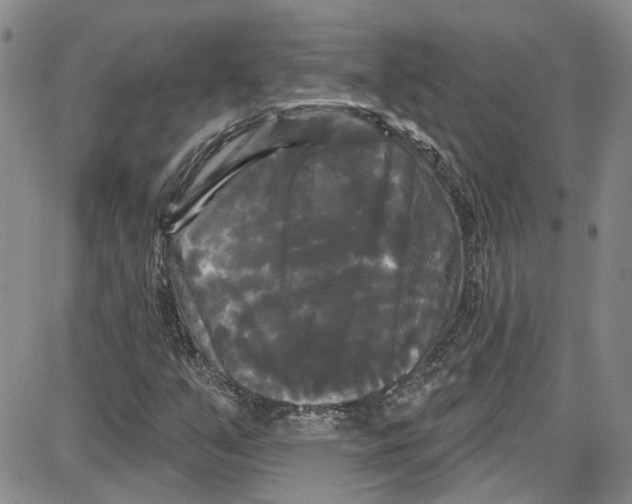 X0000087631351200705311318