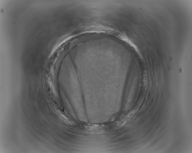 X0000087631352200705311318