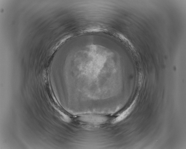 X0000087631353200705311318