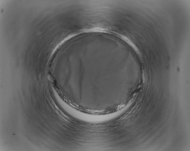 X0000087631356200705311318