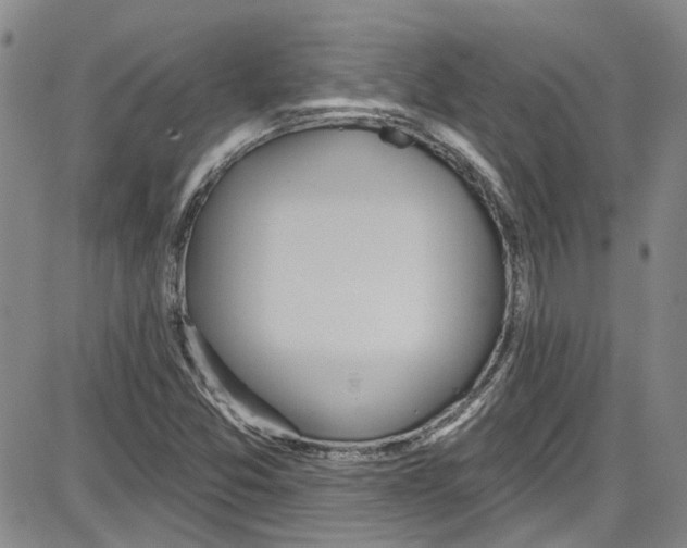 X0000087631357200705311318