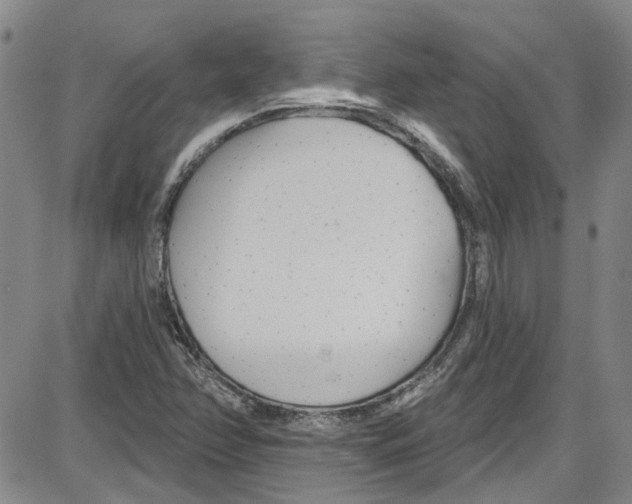 X0000087631358200705311318