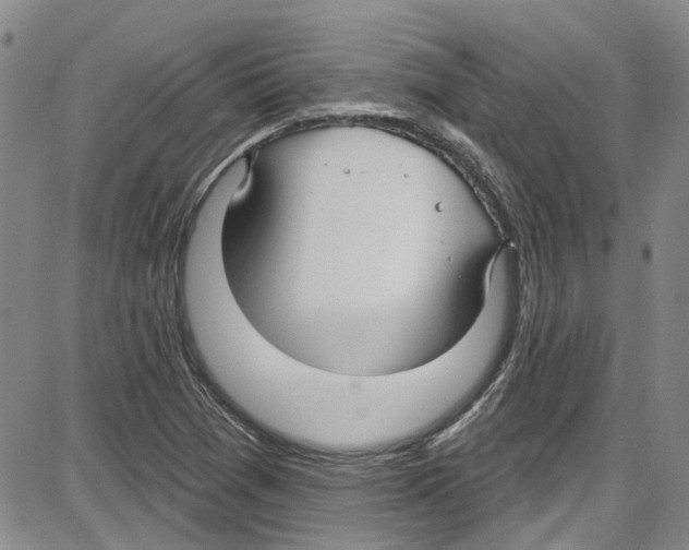 X0000087631361200705311318