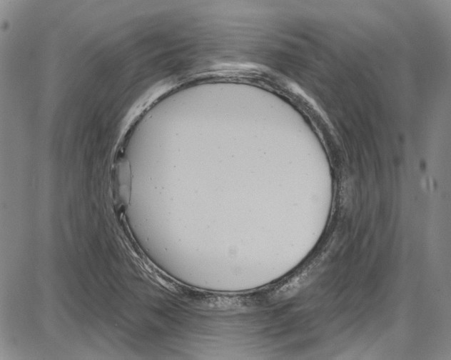 X0000087631362200705311318