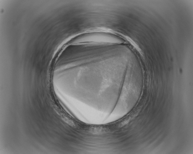 X0000087631364200705311318