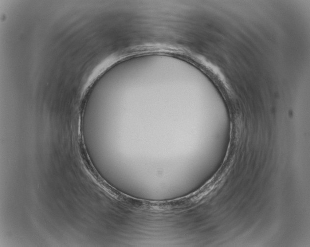 X0000087631365200705311318