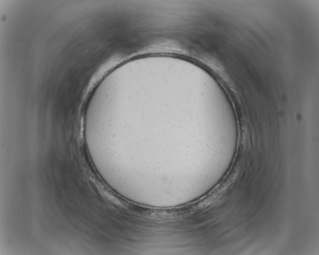 X0000087631366200705311318