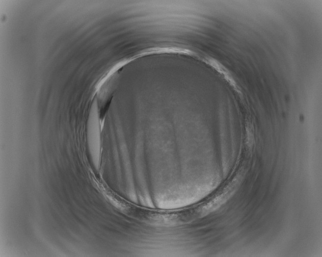 X0000087631369200705311318