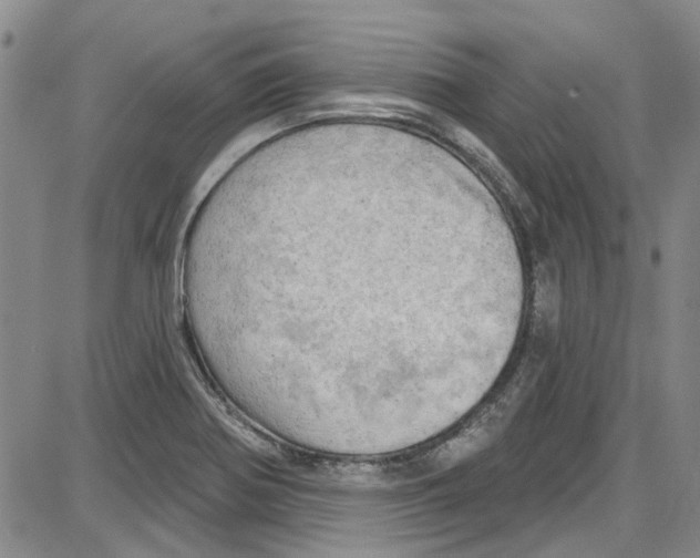 X0000087631370200705311318