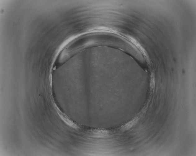 X0000087631372200705311318