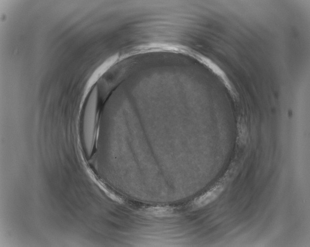 X0000087631373200705311318