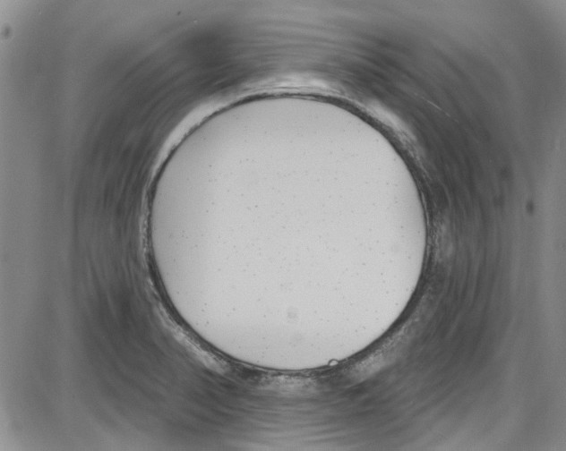 X0000087631374200705311318