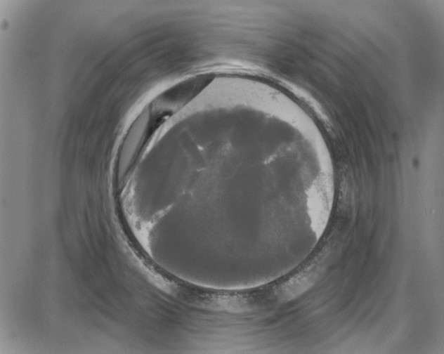 X0000087631375200705311318